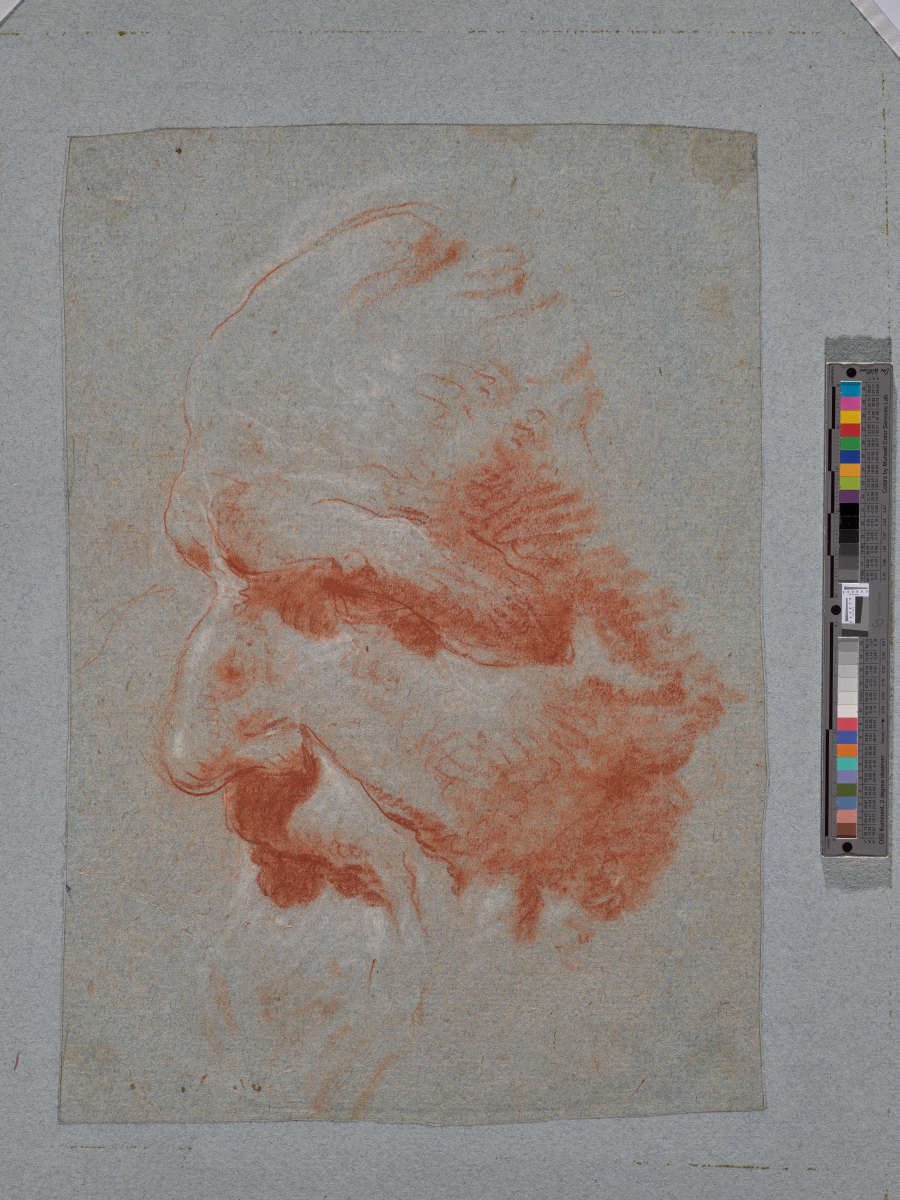 A red and white chalk study of Vittoria’s marble bust of Guilio Contarini. Contarini is seen in profile, his flowing beard and hair merging with the white of the page.