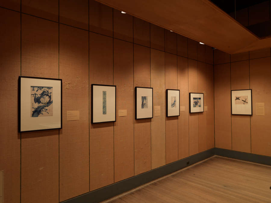 view exhibition image